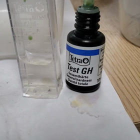 レナの産んだ水槽のの画像