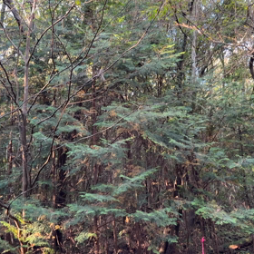 大声で会議してる？の画像