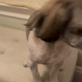 ザトラベルナース　第5話から最終回の画像