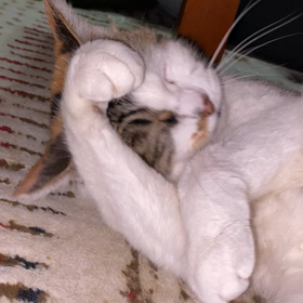 またよろしくね(^^)の画像