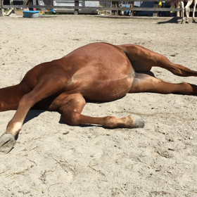 今日も元気！の画像