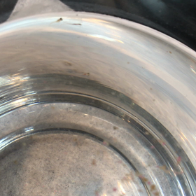 めだかの赤ちゃんが生まれましたぁ！の画像