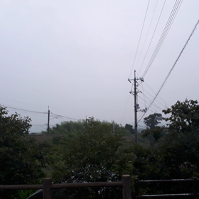 初めて動画アップしました‼️の画像