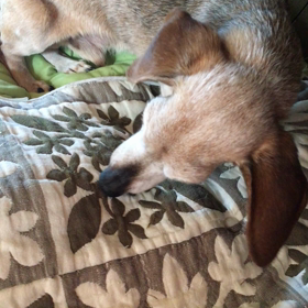 体調いまいちの画像