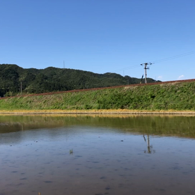 ひだ16号の画像