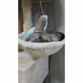 2021年はじめの1曲の画像