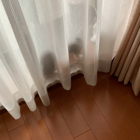 ココアの懐かしい動画の画像