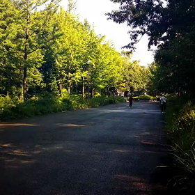 ８月１日 記録会②の画像