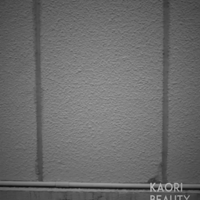 スペシャルな動画の画像