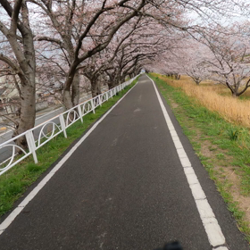 ３月３１日の画像