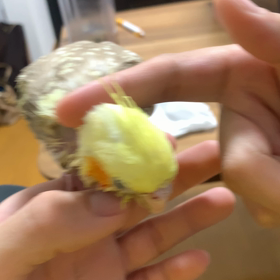 最近の出来事は、、の画像