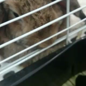 気になるあの子の画像