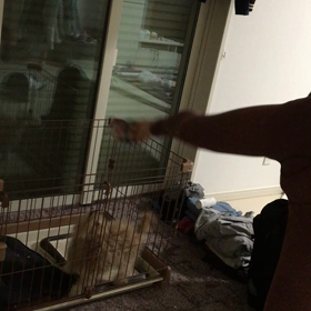 仲良し♪の画像