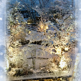 ☆billsの庭園☆の画像