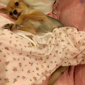 眠れない...けど、ま、いっかの画像