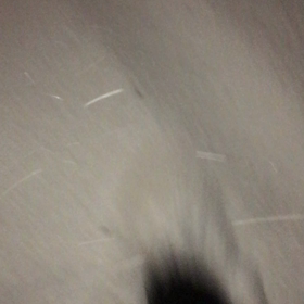 人と会う。の画像