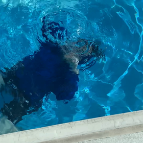 経過観察211日目①(二十歳のバブルリング)の画像