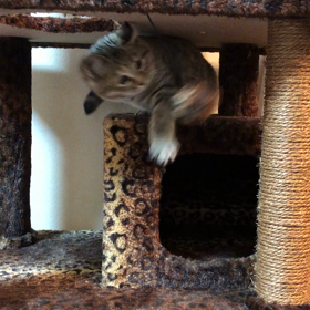 少しずつ(little by little)の画像