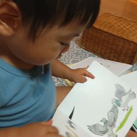 はとぽっぽ。の画像