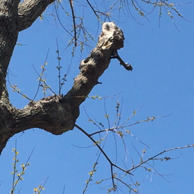 しぜんの不思議の画像