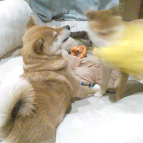 嵐だぁ。。の画像