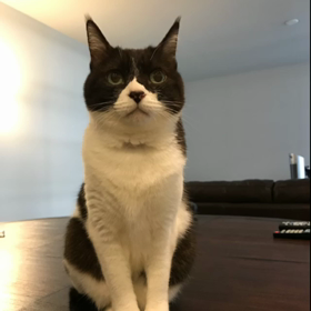 財布がないの画像