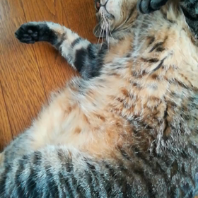 ソラ…7,４キロの画像