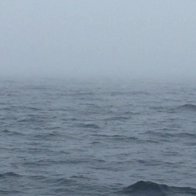 2016年マグロ釣り撃沈（笑）の画像