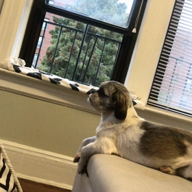 レンタルなんもしない人　第10話の画像