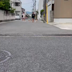 麦ちゃんホップ君からのお便りですの画像