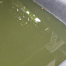 暑かったの画像