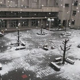 雪がふるとの画像