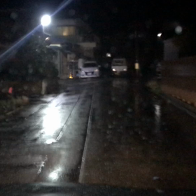 2/20強い雨ですの画像