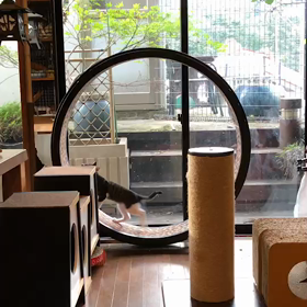 上手く回してます。の画像