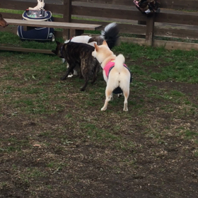 BBQ in Wonderful Nature Village 2の画像