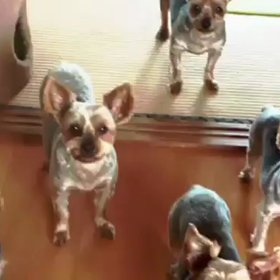 ありがとうございました(^-^)の画像