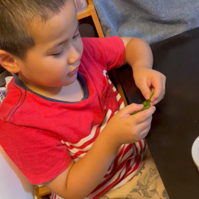 じぃじへ(スナップエンドウ)の画像