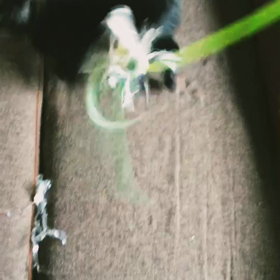 新しいオモチャの画像