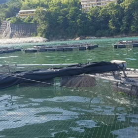 ゲロ無し　の画像