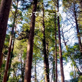 いつものの  画像