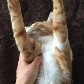 ▶︎伸び〜の画像