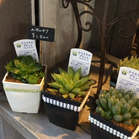 父の日プレゼントの画像