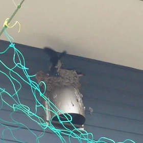 生後21日！の画像