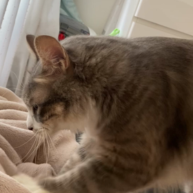 遅くない？の画像