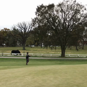 寄らん。。。の画像