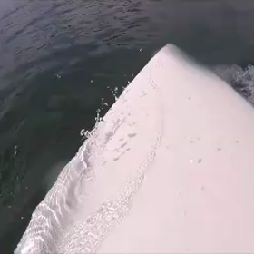 Gopro買って楽しみ少し増えたですの画像