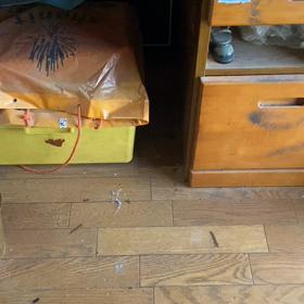 ルージュ韓国裏ぎり訴えの画像