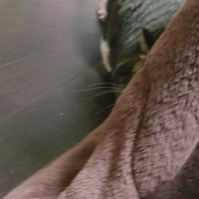 飲みたかったの？の画像