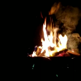 マイムマイムの画像