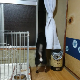 ちょっとそこまでの画像